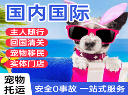 龙湾航空货运国际宠物托运 【国